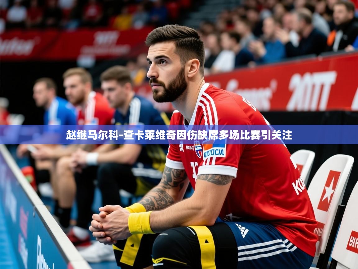 2025华体会体育网站国米赞助商赵继马尔科-查卡莱维奇因伤缺席多场比赛引关注
