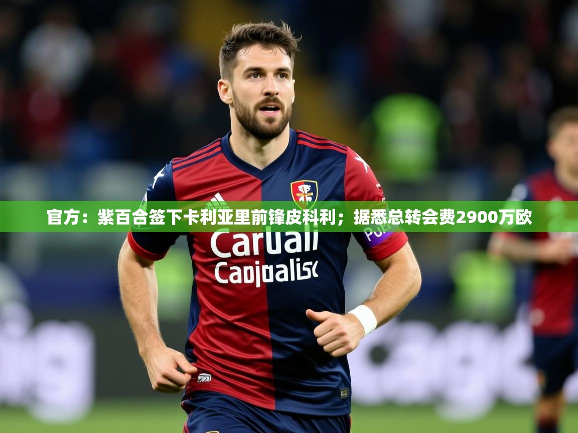 2025华体会体育最新官方入口官方:紫百合签下卡利亚里前锋皮科利;据悉总转会费2900万欧 第1张