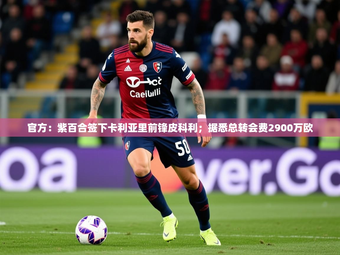 2025华体会体育最新官方入口官方:紫百合签下卡利亚里前锋皮科利;据悉总转会费2900万欧 第2张