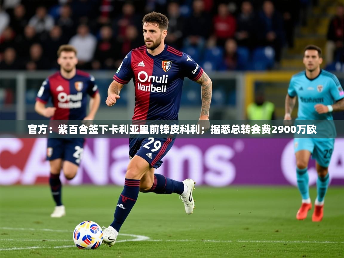2025华体会体育最新官方入口官方:紫百合签下卡利亚里前锋皮科利;据悉总转会费2900万欧 第3张