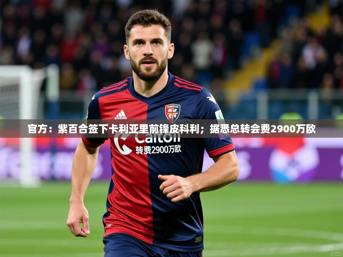 2025华体会体育最新官方入口官方:紫百合签下卡利亚里前锋皮科利;据悉总转会费2900万欧 第4张