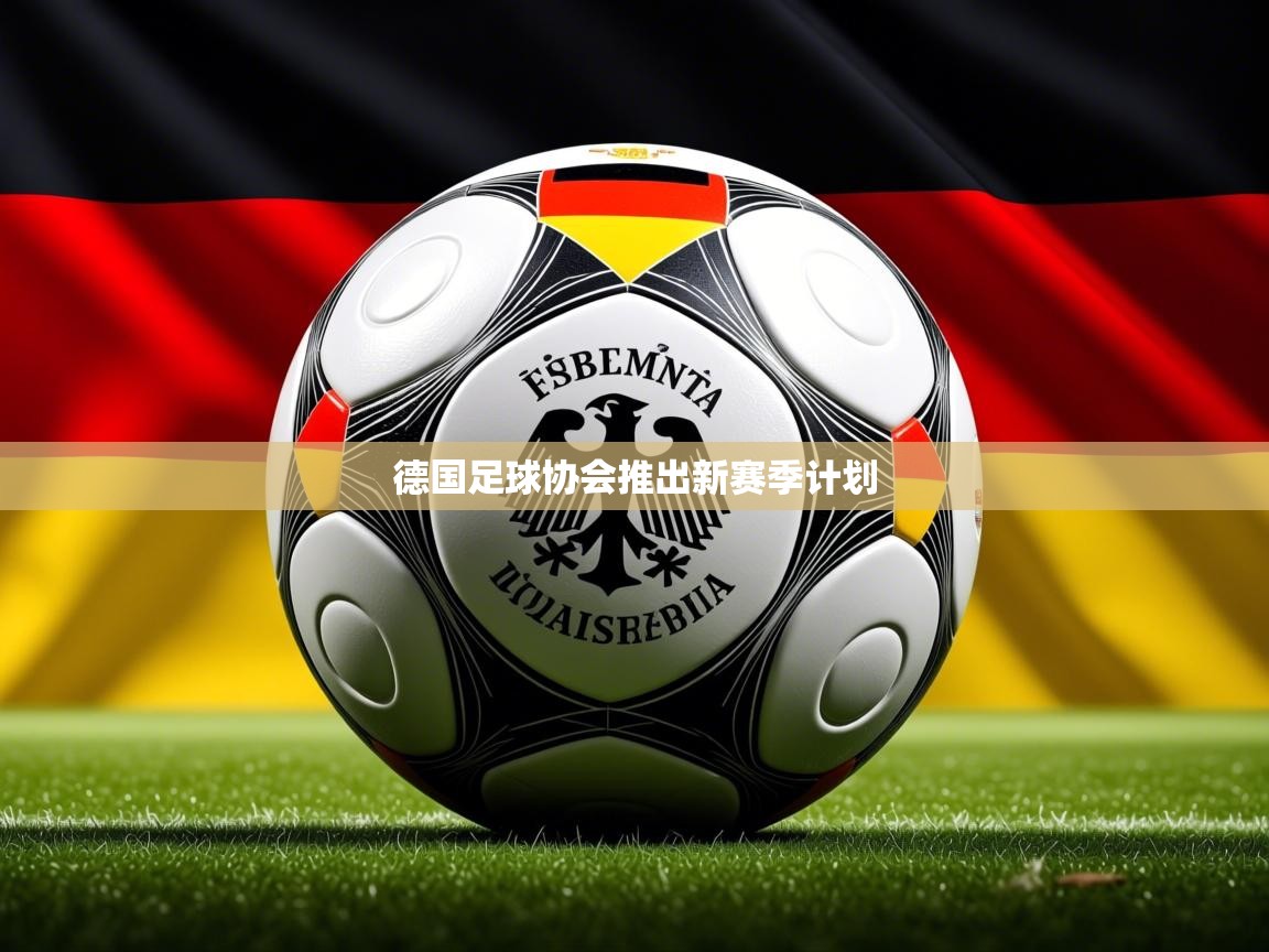 2026华体会体育app德国足球协会推出新赛季计划 第1张